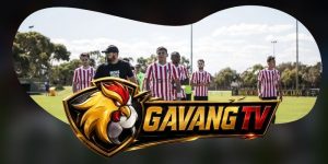 Dự Đoán Trận AD Cariari Pococi Vs Pitbulls 02h00 04/09