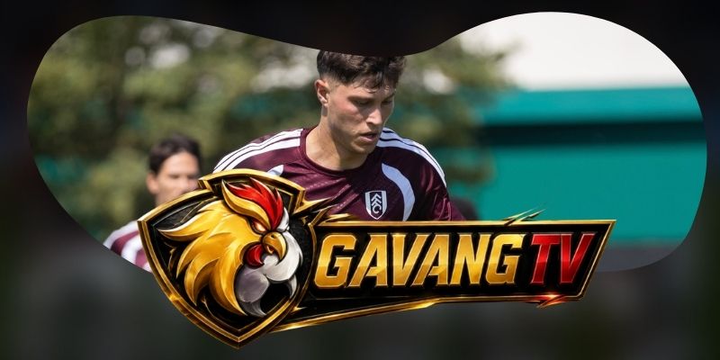 Phân tích phong độ Fulham vs Chelsea từ hiệu quả hai vòng cấm