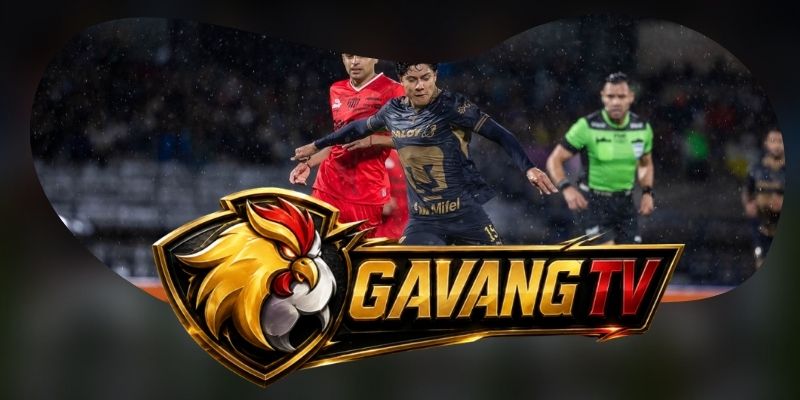 Phân tích phong độ Pumas U.N.A.M. vs Club Leon: hàng công chủ nhà gặp thử thách phản công