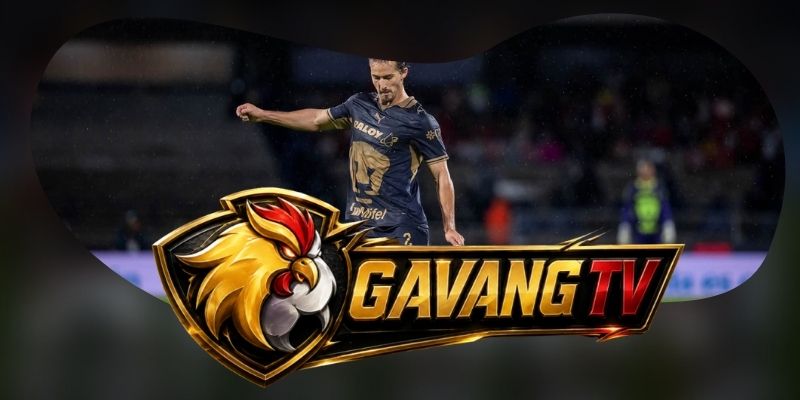 Tổng hợp dự đoán kèo trận Pumas U.N.A.M. vs Club Leon ngày 11/09 theo cửa khách